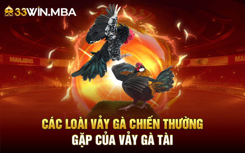 Các loại vảy gà chiến thường gặp của vảy gà tài